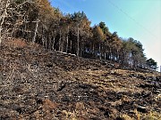 MONTE ZUCCO ad anello via linea tagliafuoco dalla Pernice (20apr21) - FOTOGALLERY